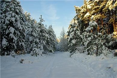 《鬼武者：剑之道》玩法介绍 弹开一闪和化劲等